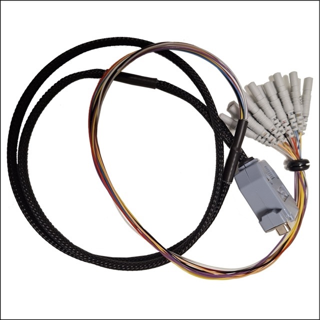 CNS Adapter Cable 110cm for CNS Disposable EEG Caps with 13 electrodes, DB25 connector - Touch Proof