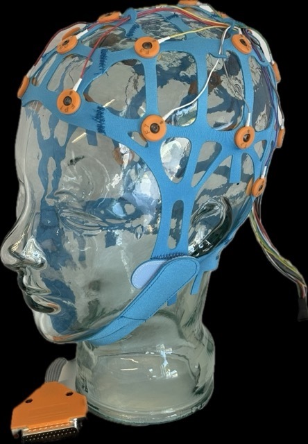 CNS Disposable EEG Cap - Adult (L) 58-62cm, 23 Ag/AgCl electrodes, 10-10 label, 150cm Stratus EEG DB25 connector pin-out cable